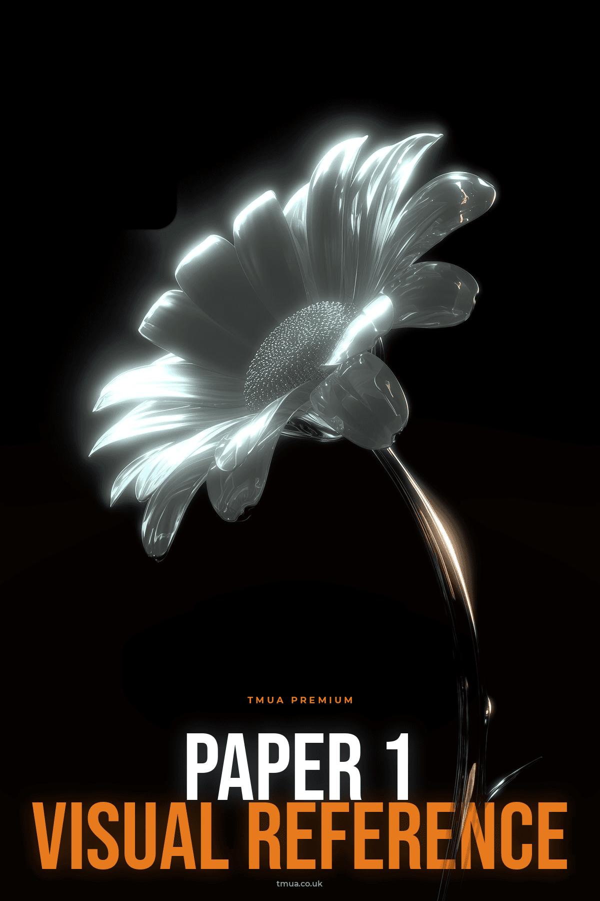 Paper 1 Visual Reference