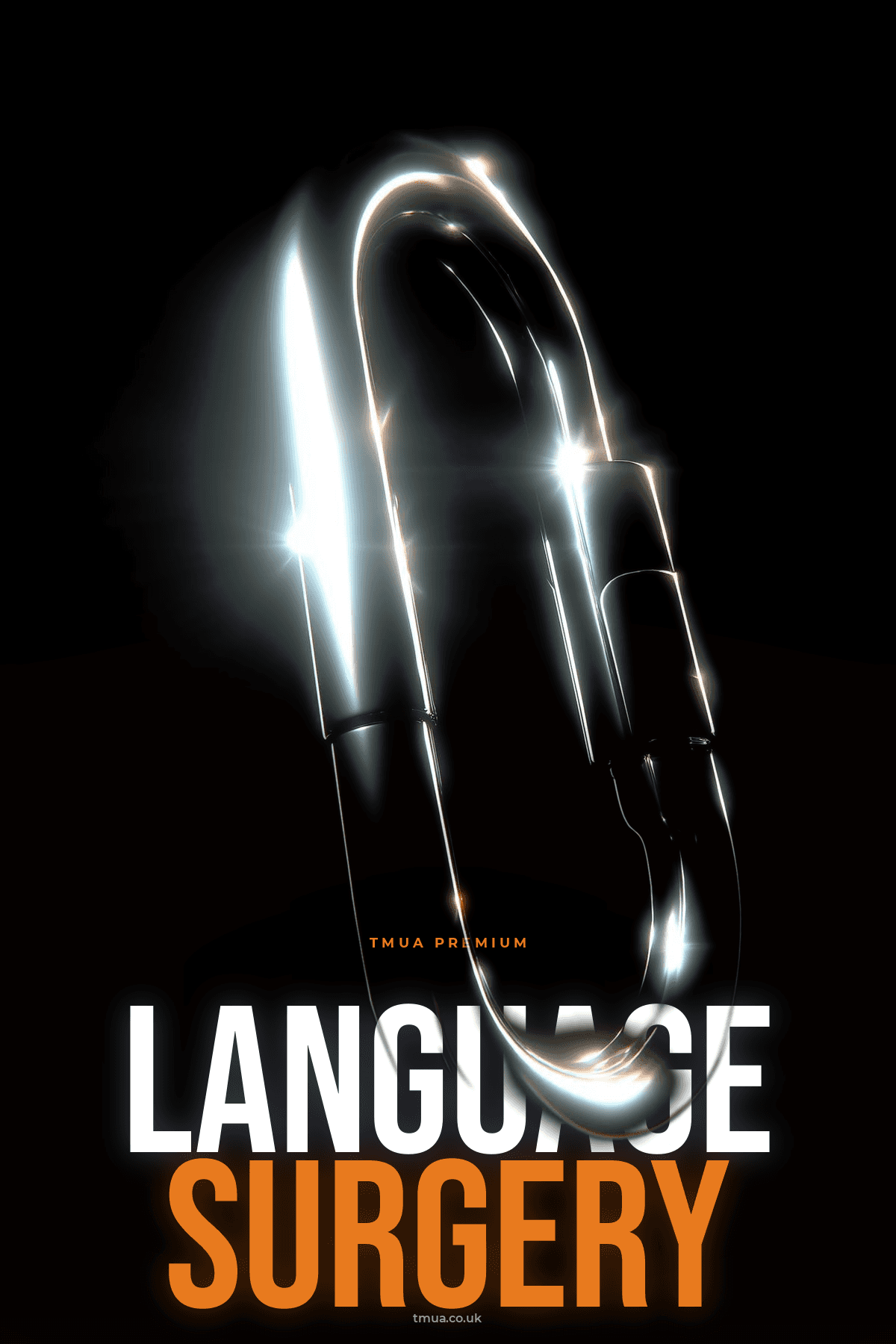 Paper 2 Language Surgery