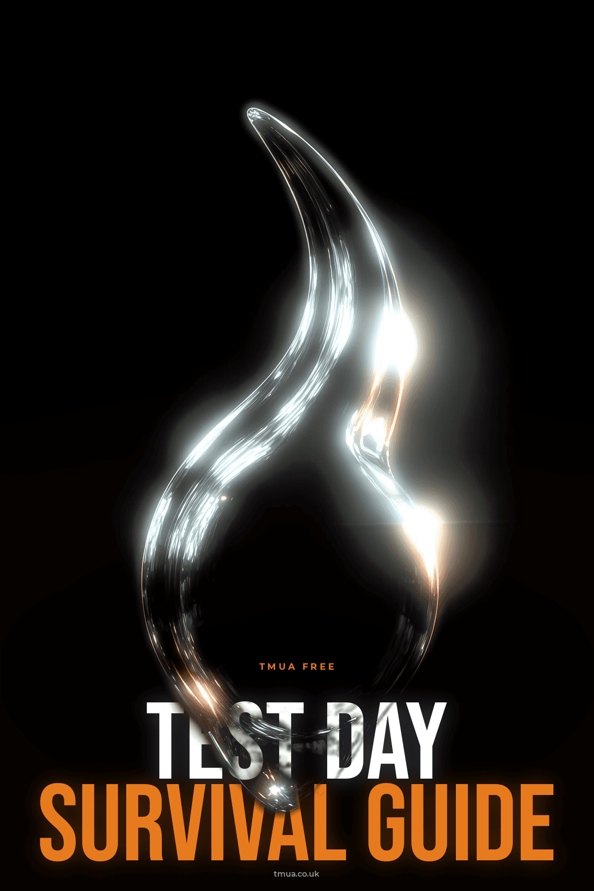 Test Day Survival Guide